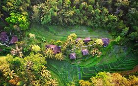 Oemah Tepi Sawah