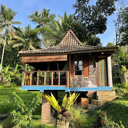 Villa Oemah Tepi Sawah Jatiluwih Exterior foto
