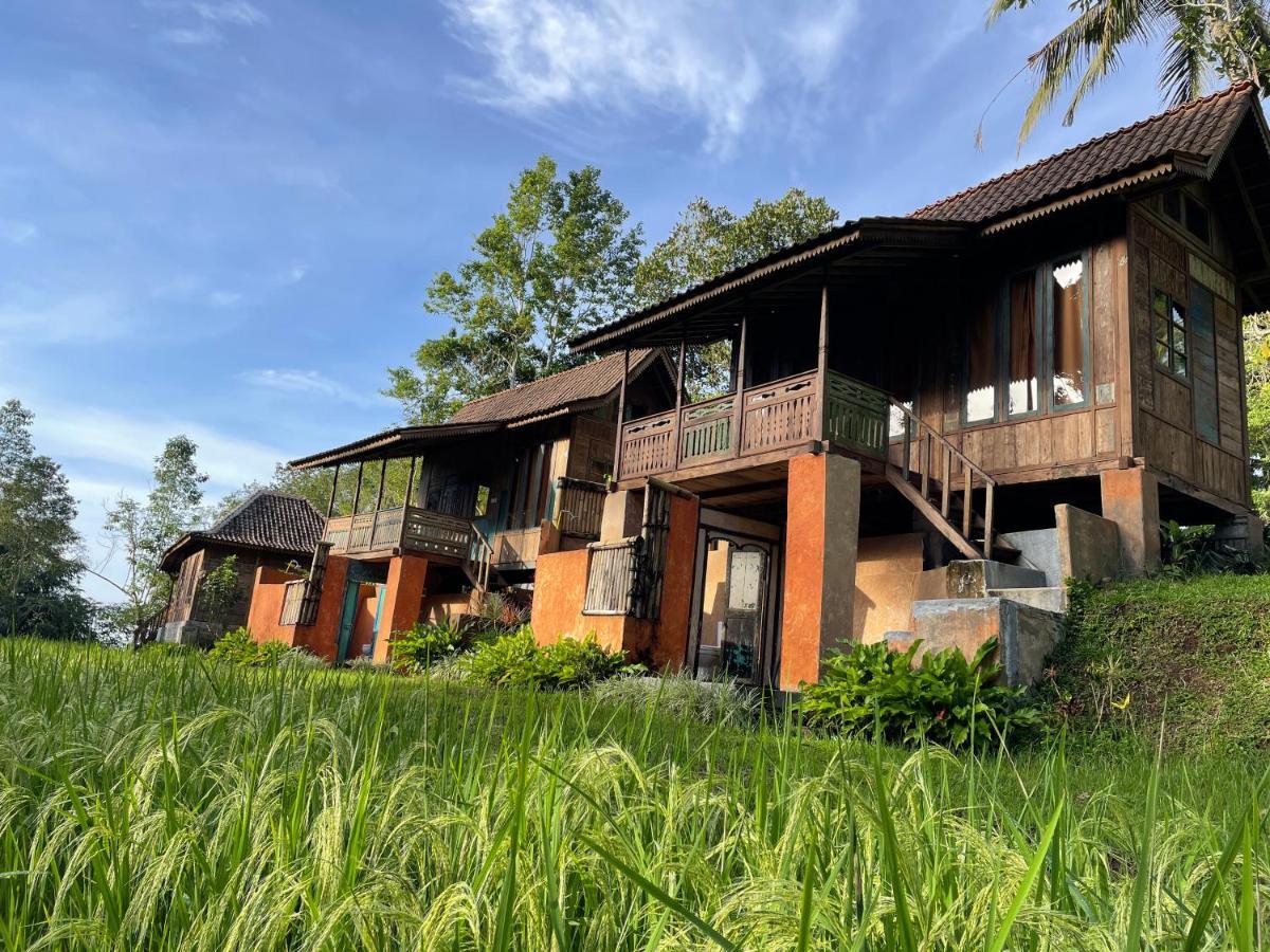 Villa Oemah Tepi Sawah Jatiluwih Exterior foto