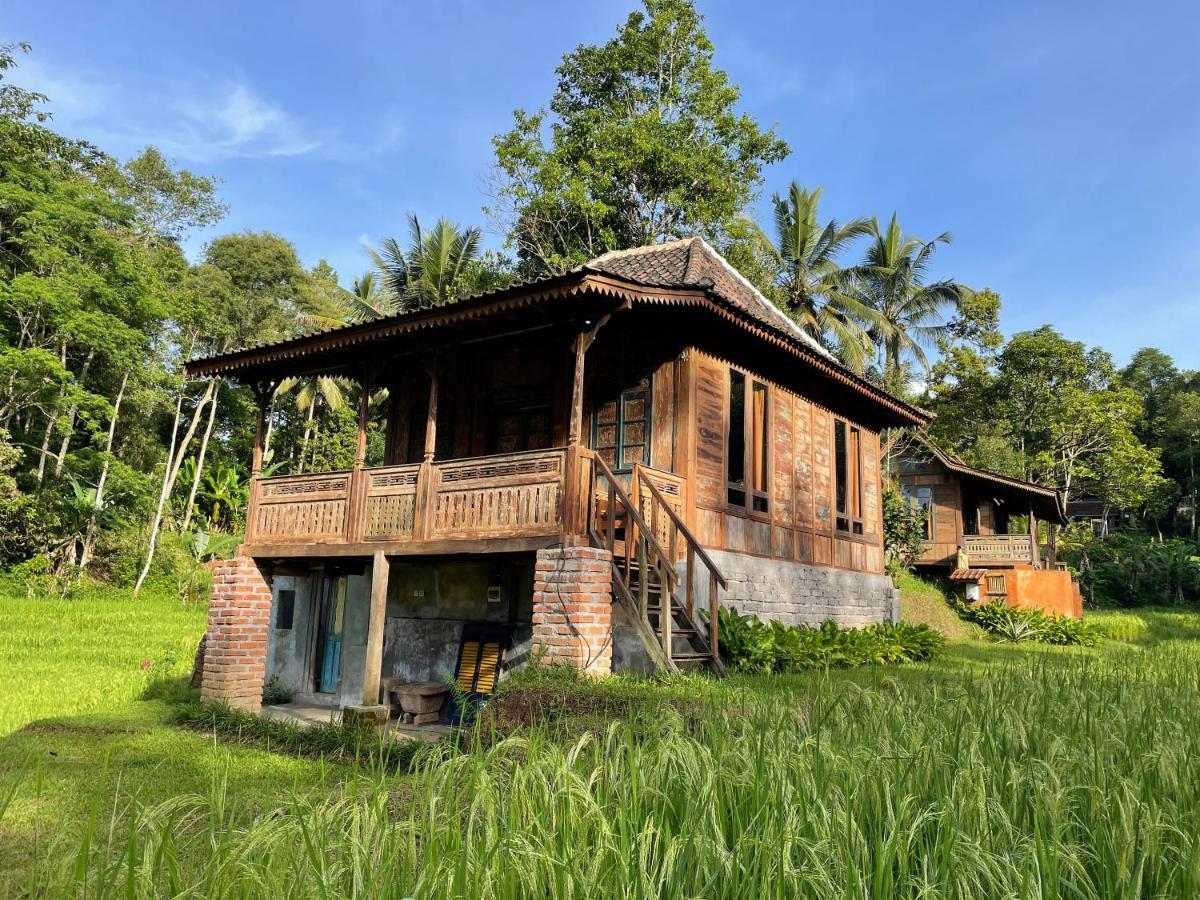 Villa Oemah Tepi Sawah Jatiluwih Exterior foto