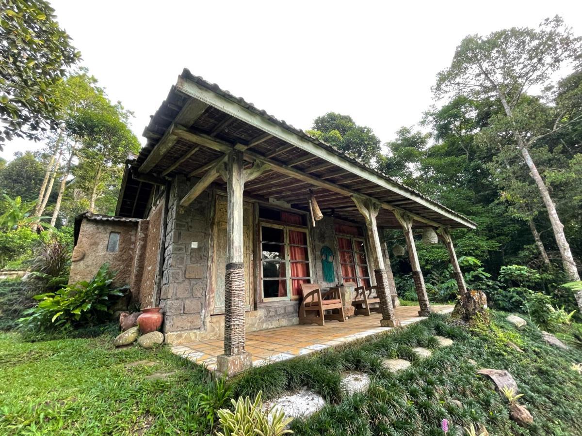 Villa Oemah Tepi Sawah Jatiluwih Exterior foto