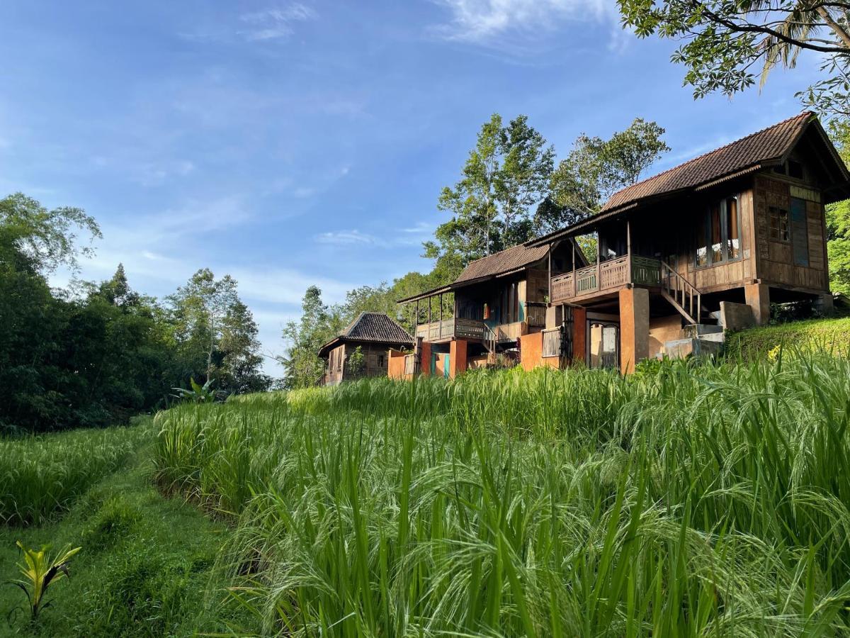 Villa Oemah Tepi Sawah Jatiluwih Exterior foto