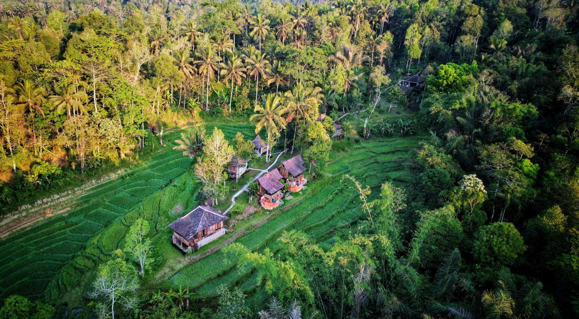 Villa Oemah Tepi Sawah Jatiluwih Exterior foto