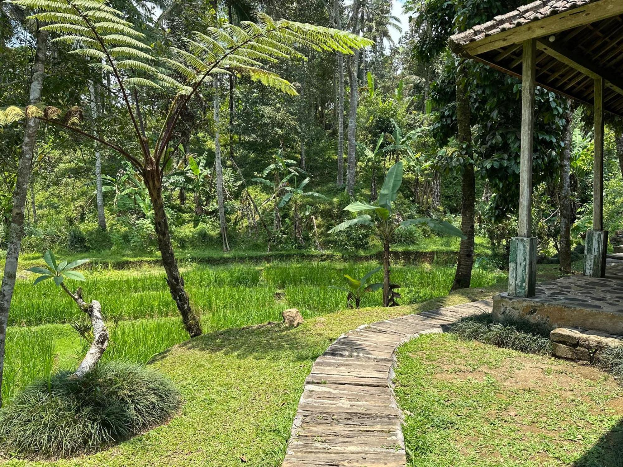 Villa Oemah Tepi Sawah Jatiluwih Exterior foto