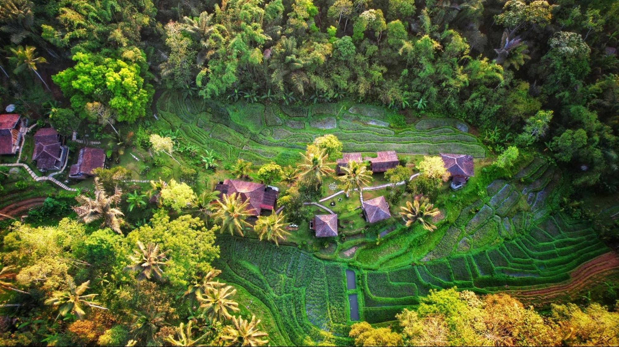 Villa Oemah Tepi Sawah Jatiluwih Exterior foto