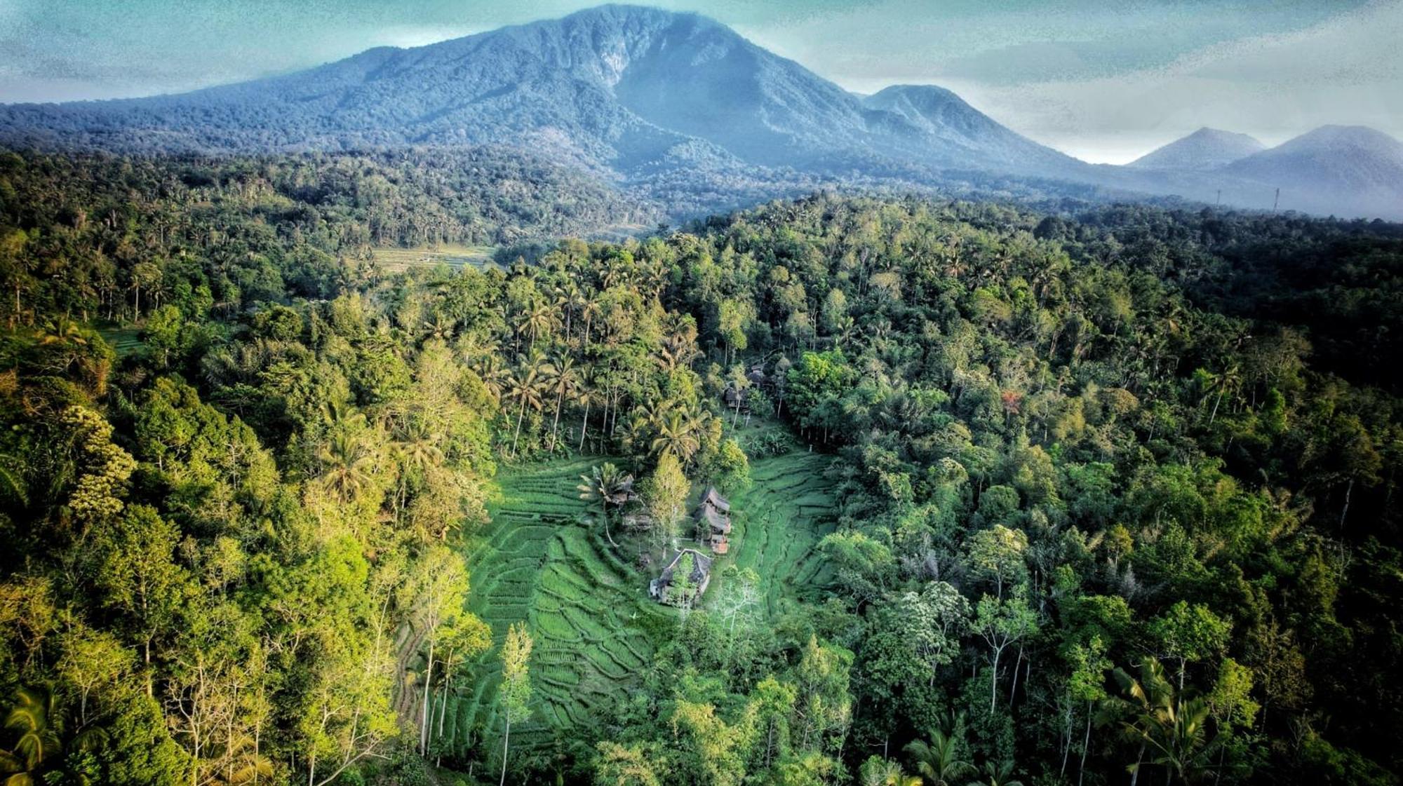Villa Oemah Tepi Sawah Jatiluwih Exterior foto