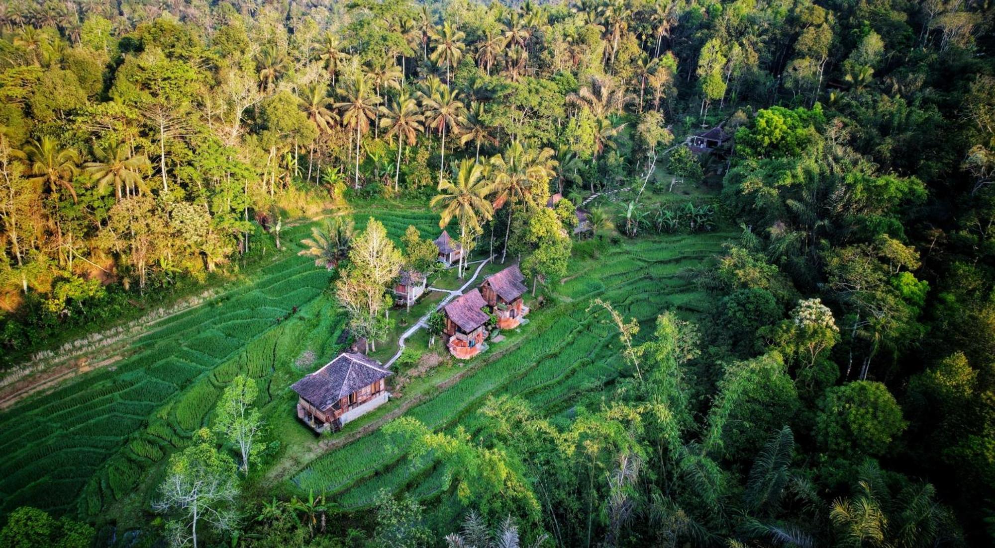 Villa Oemah Tepi Sawah Jatiluwih Exterior foto
