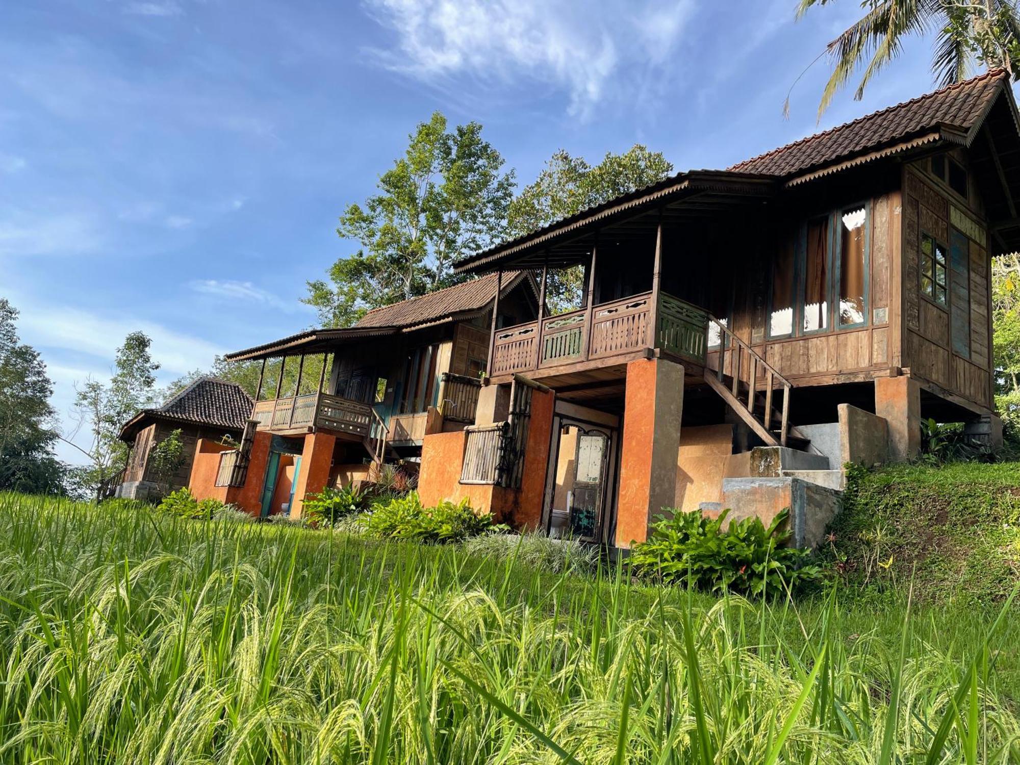 Villa Oemah Tepi Sawah Jatiluwih Exterior foto