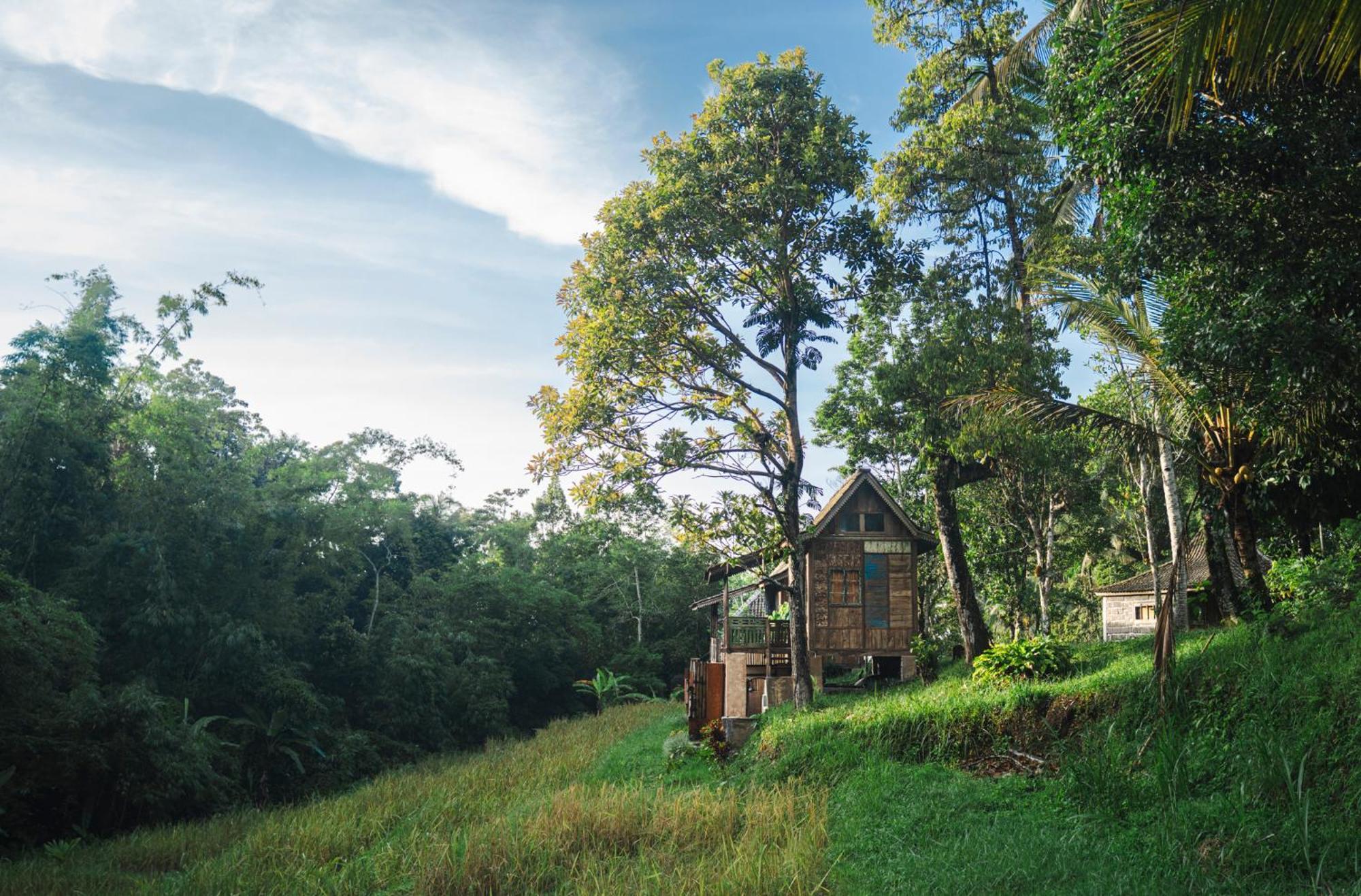 Villa Oemah Tepi Sawah Jatiluwih Exterior foto