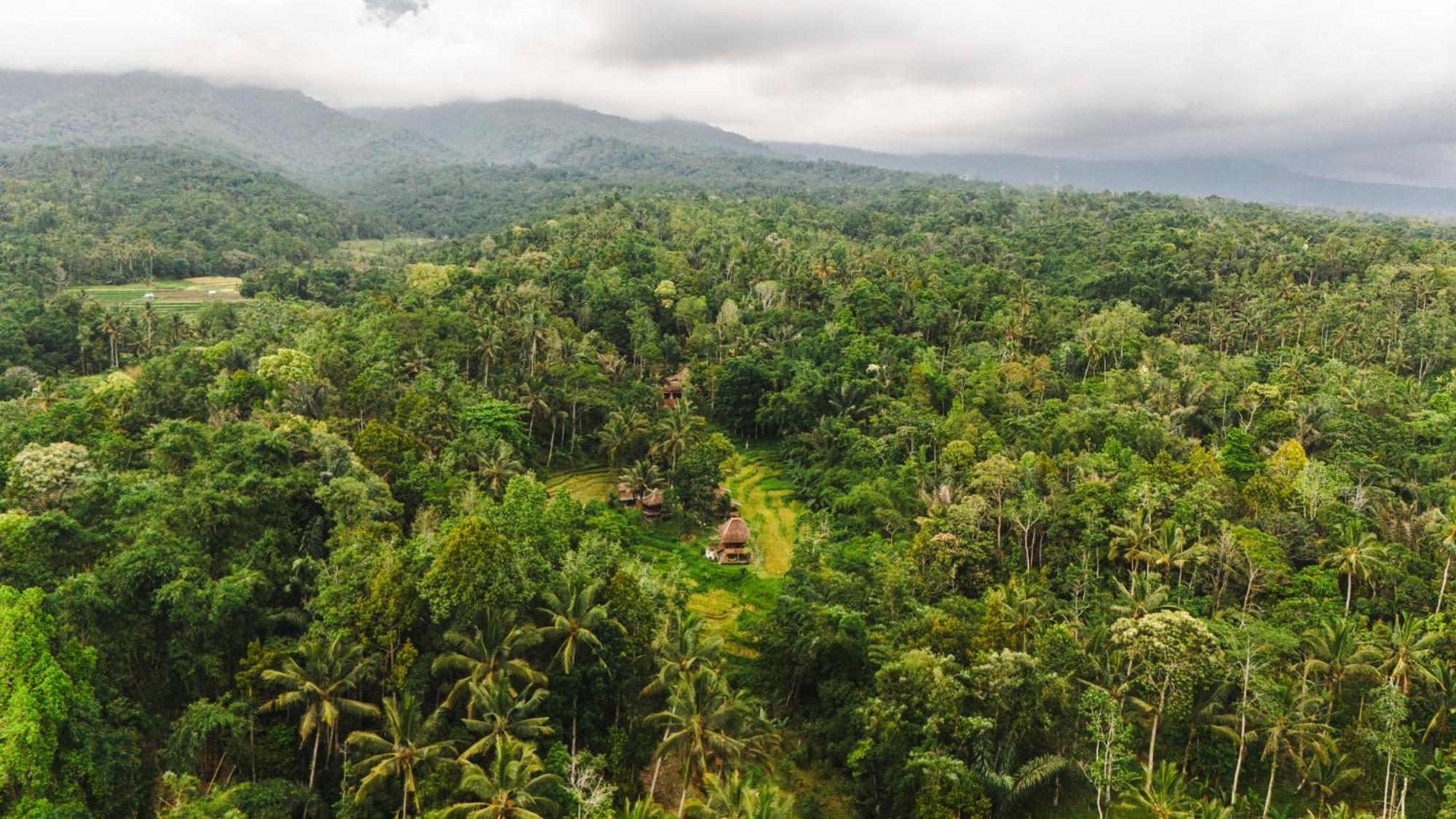 Villa Oemah Tepi Sawah Jatiluwih Exterior foto