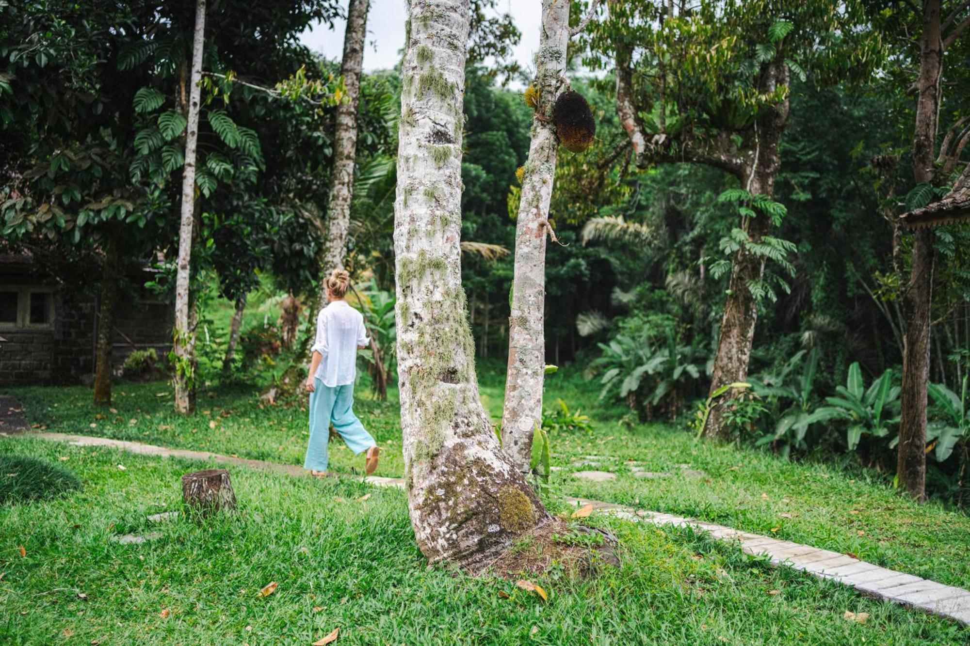 Villa Oemah Tepi Sawah Jatiluwih Exterior foto